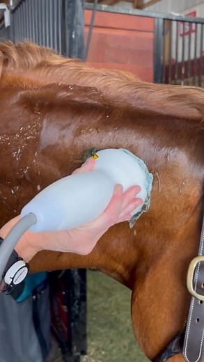 5.7K views · 390 reactions | Shockwave therapy may sound...