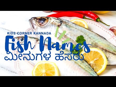 Fish Names in English | Fish Names in Kannada