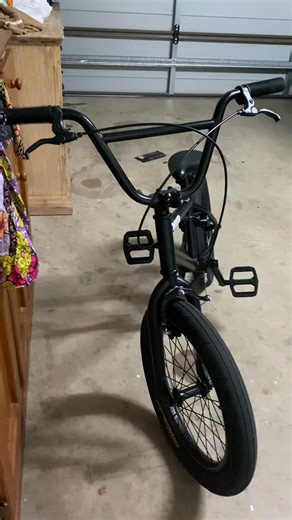 Lizard spam#fyp#bmx#clean#lizard#viral