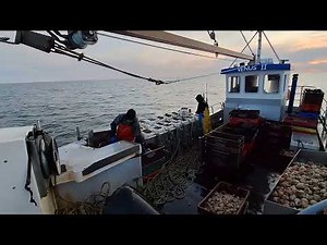 Whelk fishing Irish sea Venus 2