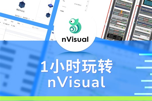 1小时玩转nVisual（数据采集与录入）