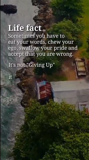 Business Growth - PAPA SEP TV