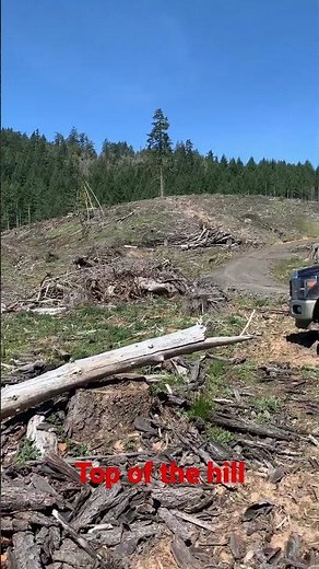 Melrose, Oregon salvage logging 800 acres