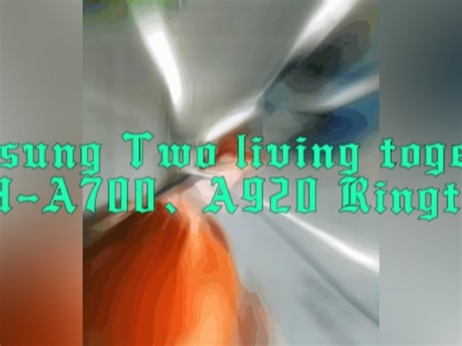 Samsung SPH-A700、A920 tour Collection