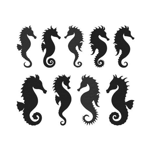 Seahorse Marine Embroidery Design, Seahorse Ocean Machine Embroidery File, Ocean Animal Embroidery Instant Download - Etsy