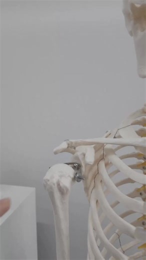 Still got shoulder pain after doing banded rotator cuff exercises? Here’s how my Upper Body Strength Standards Checklist helps my clients build the strength they need to actually fix their shoulder pain. Want it? Just comment STANDARDS below and it’s yours. | volleyball.physio