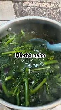 Delicious turnip greens recipe #cookingwithlucy #lucyrivadeneira #food #recipe