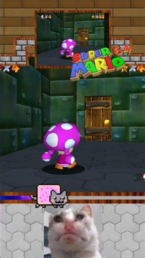 【SM64】One Star A Day -『44th Day』「Mips」— Super Mario 64