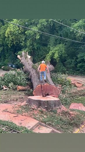 J&L Tree Service on Reels