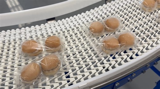 From packaging to palletizing, we keep frozen food moving seamlessly. Have a project that needs a solution? Let us know how we can help. #FrozenFood #ConveyorSolutions #FoodProcessing #SpanTech | Span Tech LLC