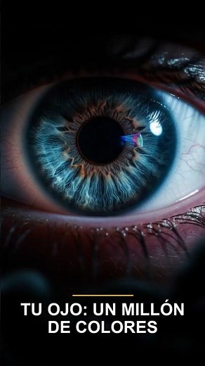 Tu ojo ve un millón de colores y no lo sabes