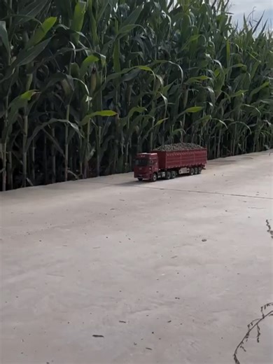 Overloaded RC Driving Fast