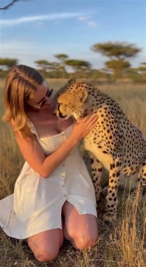 Incredible Calm Moment Between Woman and Cheetah 🐆 Real Nature Connection #shorts