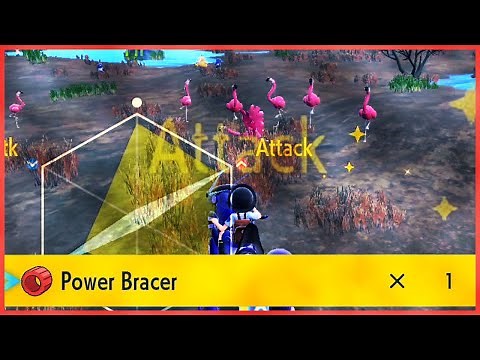 Best Attack EV Training Location + Which Pokemon to Battle - Pokemon SV Guide.