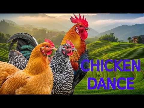 Crazy Chicken Dance 2 │ Funny Chicken Song Official Video