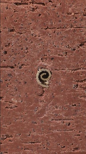 Inserting Bronze Into My Pots