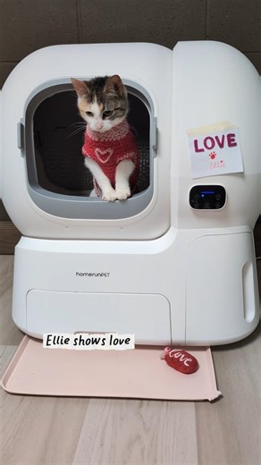 Love Is a Clean Litter Box 💗 Multi-Cat Home | homeRunPET