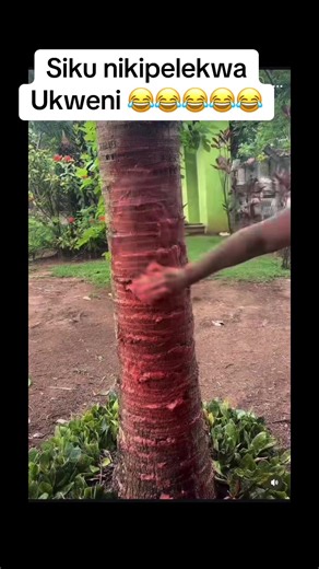 Reth_storetz (@reth_storetz)’s videos with Originalton - funnyvideos