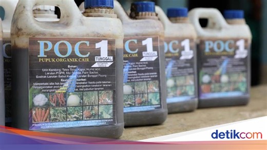 Pupuk Organik Cair (POC): Cara Membuat, serta Kelebihan dan Kekurangannya