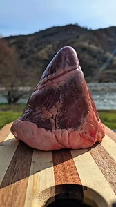 2.8M views · 21K reactions | Cooking Lamb Heart In Nature  | Leon Cooking Bar | Facebook