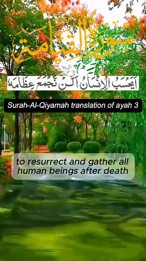Experience the powerful recitation of Surah Al-Hajj, the 22nd chapter of the Holy Qur’an. This Surah reminds humanity about the reality of the Last Day, the purpose of sacrifice, and the importance of sincere worship.🌿 A Surah that inspires humility, obedience, and deep reflection.📖 Chapter: Al-Hajj (The Pilgrimage)🎧 Emotional recitation to soothe the heart and strengthen faith.#SurahAlHajj #QuranRecitation #IslamicReminder #Sacrifice #Submission | Quran Teaching