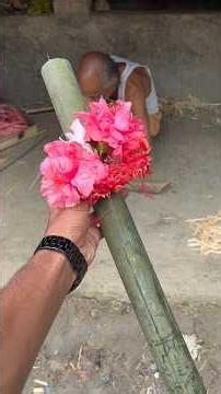 Amazing Bamboo Flower Basket Making | Eco-Friendly Bamboo Craft DIY 🌿 #amazing