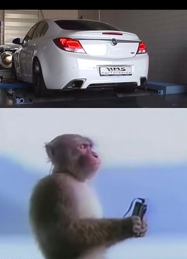 OPEL INSIGNIA OPC DYNO RUN #opelperformancecenter #opelinsignia #insigniaopc #dynorun #v6engine #turbocharged #generalmotors #exhaustsound