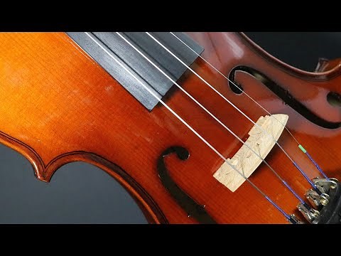 La famille des cordes frottées