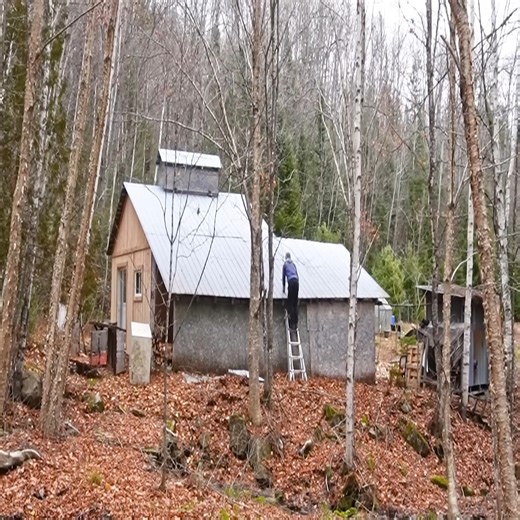 ==== Full Video Comment 👇👇 👇👇 | Jungle Survival Camping