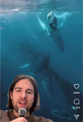 Exploring Arctic Walrus Herds in Their Natural Habitat