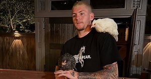 Callum Walsh (boxing): next fight, last fight result, boxing record (table)