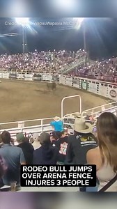 2.4M views · 39K reactions | The bull, which was competing at the event in Sisters, Oregon, hopped the arena fence and ran out through the grounds. Video from the incident shared on social media showed the bull striking a rodeo attendee and lifting them off the ground twice. https://abc7ny.com/post/sisters-rodeo-bull-escapes-jumps-over-arena-fence/14929968/ | ABC7NY | Facebook
