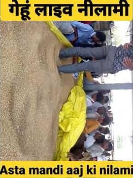 mandi se live nilami #shorts asta