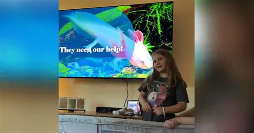 A Harvard research lab's remarkable gift from a 6-year-old girl