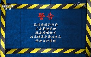 【趣味科学】外国人用生命来搞笑科学【CCTV-9】【纪录片】【science of stupid】