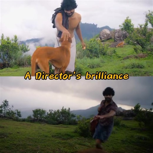 Exploring Peak Cinema: Eko Movie Insights