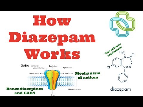 How Diazepam Works. Learn how the benzodiazepines work on the GABA-A receptor to reduce anxiety