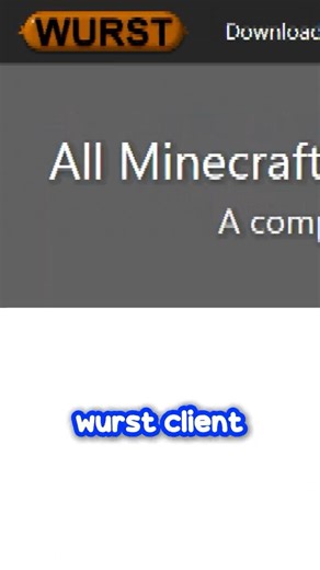 Mods That WILL Get You BANNED 😭 #minecraft #gaming