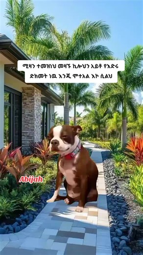 Funny Memes Compilation Featuring Abijah