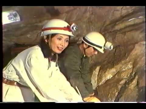 11PM インサートビデオ①