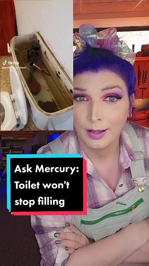 @creating.in.chaos How to replace a toilet fill vavle #DIY #Askmercury #Toilet #lgbtqia #trans