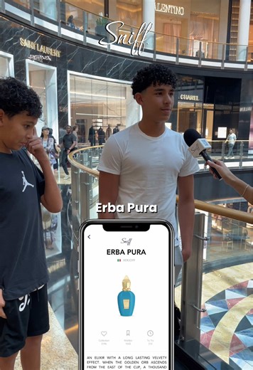 Sniff’n Dubai Pt. 153! 👃🏻💙 Do you have a big collection like these guys, too? Tell us your favourite fragrance brands in the comments! 🩷✨ @Xerjoff, @Azzaro_Parfums, @Mancera, @Gucci, @Dior, @Givenchy #perfumelovers #fragrances #perfumeaddicts #cologne #perfumetiktok [Fragrance lovers, Perfumes, Perfumery, Fragrances, Perfume collection]