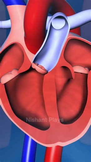 Shaking Your Leg 😱 #leg #relatable #nepalishorts