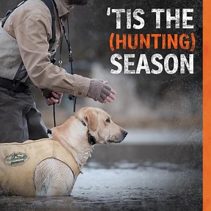 5K views · 161 reactions | The FieldTrainer® 425X is our smallest and lightest e-collar built to withstand all seasons. From training in the field to roughing the elements on a hunt, SportDOG® gear performs the way you demand. | SportDOG Brand | Facebook