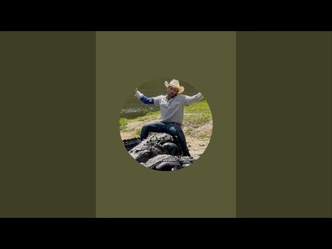 Live streaming with some gators and crocodiles