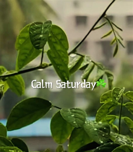 Embrace Cozy Days: Quick Tips for Editing