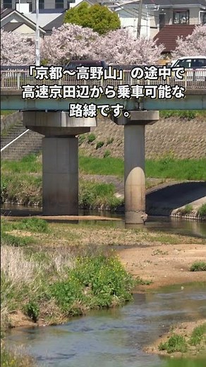 ｢高速京田辺〜高野山｣高速バス毎日運行。4/10〜11/29 #ひらつー #松井山手 #京阪バス