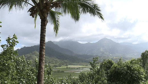 High surf warning issued for Kauai and Niihau shores