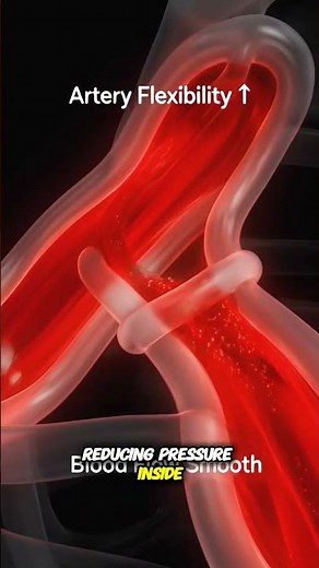 How exercise lowers blood pressure?