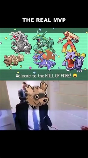 Zigzagoon is the real MVP
